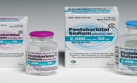 Pentobarbital vs Phenobarbital